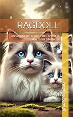 Ragdoll viaggio nel usato  Spedito ovunque in Italia 