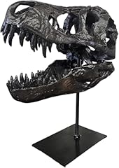 Jotnbobo dinosaur skull for sale  Delivered anywhere in USA 