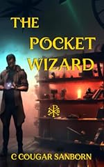 The pocket wizard gebraucht kaufen  Wird an jeden Ort in Deutschland