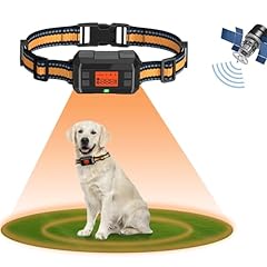 cloture electrique chien collier d'occasion  Livré partout en France