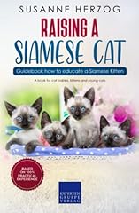 Raising siamese cat for sale  Delivered anywhere in USA 