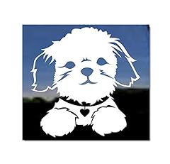 Adorable shih tzu for sale  Delivered anywhere in USA 