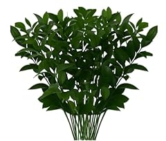 Globalrose ruscus stems for sale  Delivered anywhere in USA 
