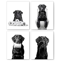 Fitie funny black for sale  Delivered anywhere in USA 