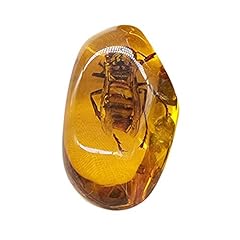Ying hornet fossil for sale  Delivered anywhere in UK