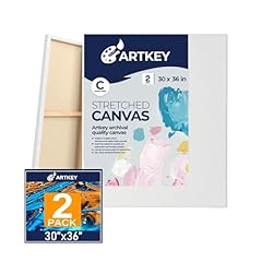 Stretched canvases painting for sale  Delivered anywhere in USA 
