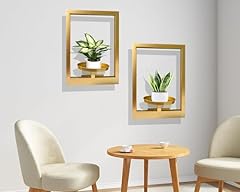 Picture frame plant for sale  Delivered anywhere in USA 