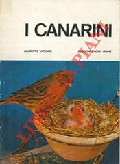 Canarini. serinus canarius usato  Spedito ovunque in Italia 