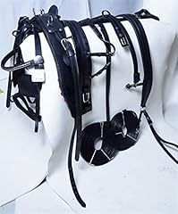 Aces equine leather for sale  Delivered anywhere in UK
