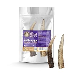 Regal mutt antler for sale  Delivered anywhere in UK