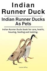 Indian runner duck. for sale  Delivered anywhere in USA 