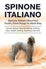 Spinone italiano. spinone usato  Spedito ovunque in Italia 