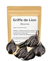 Griffe lion plante d'occasion  Livré partout en France