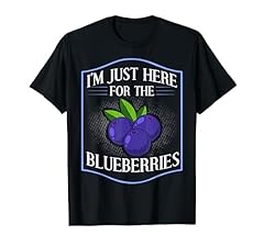 Blueberry plant blueberries for sale  Delivered anywhere in USA 
