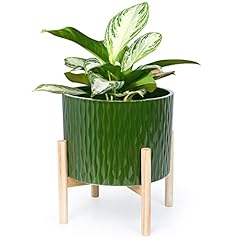 Ladovita ceramic plant for sale  Delivered anywhere in USA 