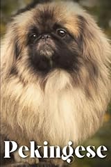 Pekingese dog breed for sale  Delivered anywhere in Ireland