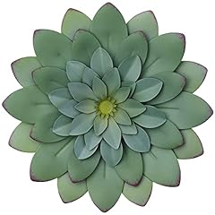 Everydecor succulent hanging for sale  Delivered anywhere in USA 