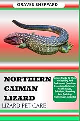 Northern caiman lizard for sale  Delivered anywhere in USA 