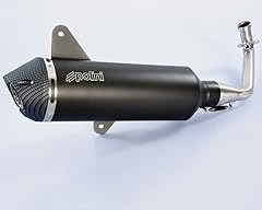 Marmitta vespa 300 usato  Spedito ovunque in Italia 