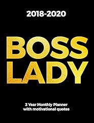 2018 2020 boss for sale  Delivered anywhere in USA 
