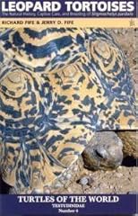 Leopard tortoise natural for sale  Delivered anywhere in USA 