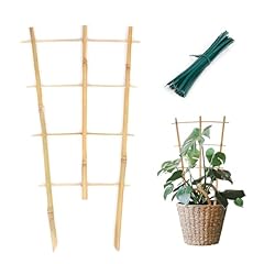 Cambaverd trellis indoor for sale  Delivered anywhere in USA 