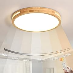 Wayluoung plafonnier led d'occasion  Livré partout en Belgiqu