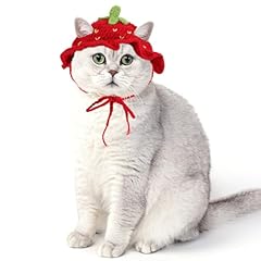 Piriuuo strawberry cat for sale  Delivered anywhere in USA 