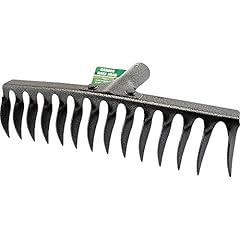 Bargainsgalore new tooth for sale  Delivered anywhere in UK