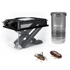 Repti zoo reptile for sale  Delivered anywhere in USA 