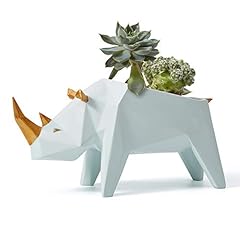 Haucoze succulent planter for sale  Delivered anywhere in USA 