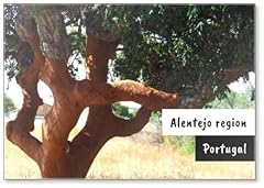 Photomagnet beautiful cork for sale  Delivered anywhere in USA 