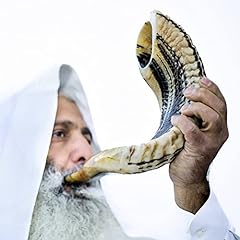Kosher ram shofar for sale  Delivered anywhere in USA 