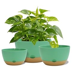 Koalaime inch pots for sale  Delivered anywhere in USA 