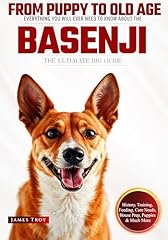 Ultimate basenji big for sale  Delivered anywhere in UK