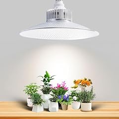 Sonlipo lampada led usato  Spedito ovunque in Italia 