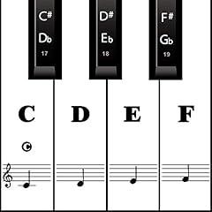 Piano keyboard stickers for sale  Delivered anywhere in USA 