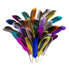 Pcs colourful feather for sale  Delivered anywhere in UK