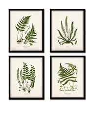 Vintage fern print for sale  Delivered anywhere in USA 