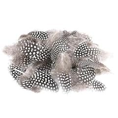 Lot 100 plumes d'occasion  Livré partout en France