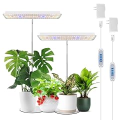 Wiaxulay plant grow for sale  Delivered anywhere in USA 