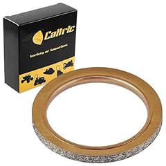 Caltric muffler pipe for sale  Delivered anywhere in USA 