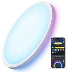 Govee smart ceiling for sale  Delivered anywhere in USA 