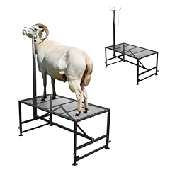 800 lbs goat for sale  Delivered anywhere in USA 