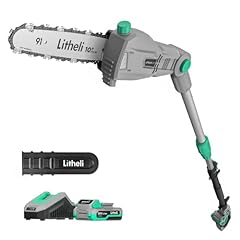 Litheli cordless pole for sale  Delivered anywhere in USA 