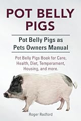 Pot belly pigs. for sale  Delivered anywhere in UK