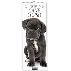 Cane corso. calendario d'occasion  Livré partout en France