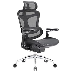 Sihoo doro c300 gebraucht kaufen  Wird an jeden Ort in Deutschland