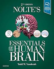Nolte essentials human for sale  Delivered anywhere in UK