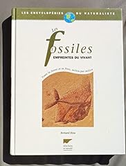 fossile empreinte d'occasion  Livré partout en France